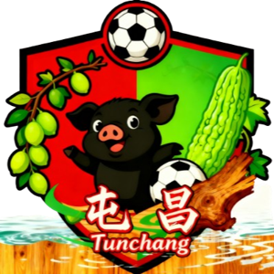 屯昌队